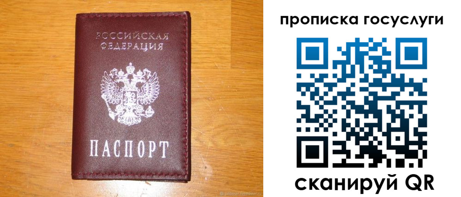 найти адрес прописки в Новозыбкове