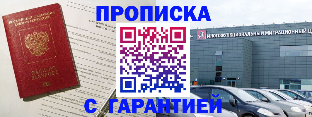 прописка поиск в Новозыбкове